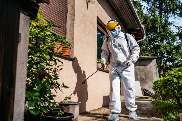 Best Commercial Pest Control Services  in Bellaire, TX