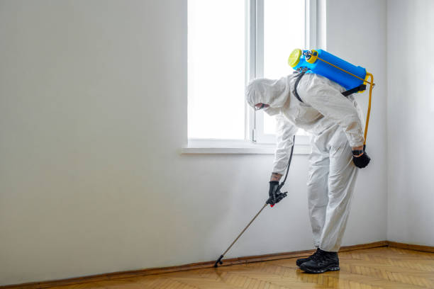 Pest Control Cost in Bellaire, TX